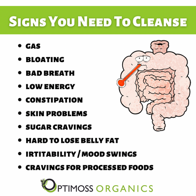 GF7 Plus Detox DEAL