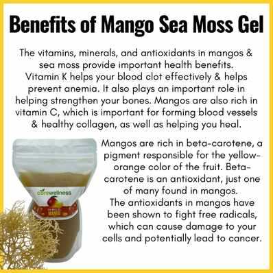 Mango Sea Moss Gel