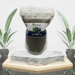 Blueberry Sea Moss Gel
