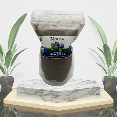 Blueberry Sea Moss Gel