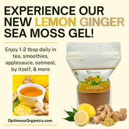 Lemon Ginger Sea Moss Gel