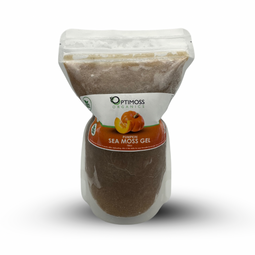 Pumpkin Spice Sea Moss Gel