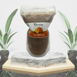 Pumpkin Spice Sea Moss Gel