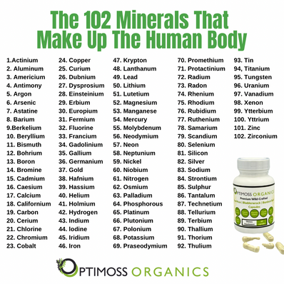 Sea Moss | Bladderwrack | Burdock Root Capsules