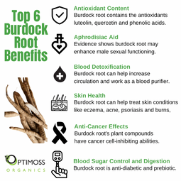 Sea Moss | Bladderwrack | Burdock Root Capsules