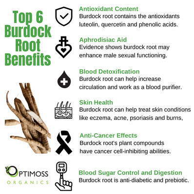 Sea Moss | Bladderwrack | Burdock Root Capsules