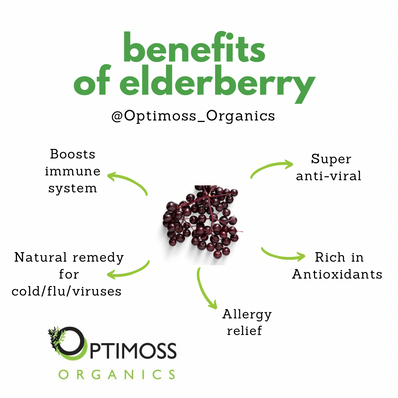 Elderberry Sea Moss Gel