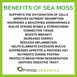 Natural Sea Moss Gel