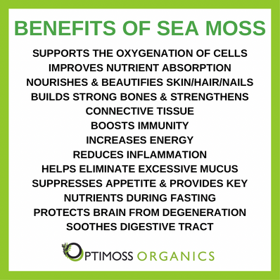 Natural Sea Moss Gel