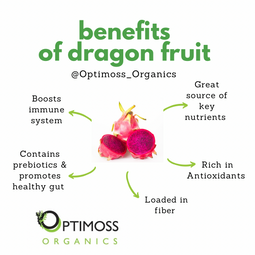 Dragon Fruit Sea Moss Gel