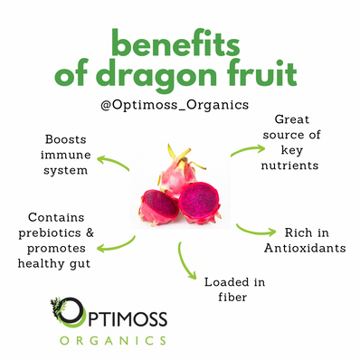 Dragon Fruit Sea Moss Gel