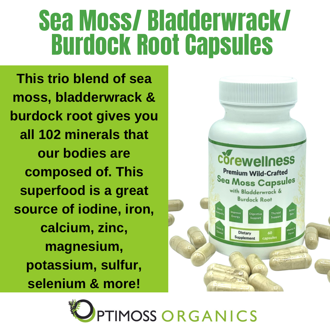 Sea Moss | Bladderwrack | Burdock Root Capsules – OptimossOrganics