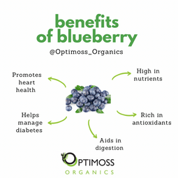 Blueberry Sea Moss Gel