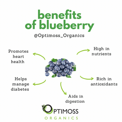 Blueberry Sea Moss Gel