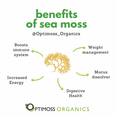 Natural Sea Moss Gel