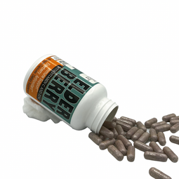 Elderberry Capsules